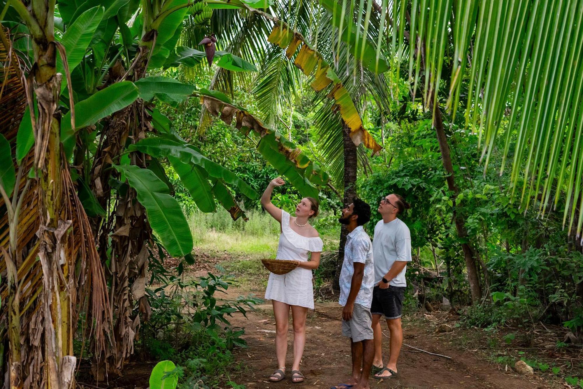 River Paradise Safari House With Cooking Class Udawalawe Kültér fotó