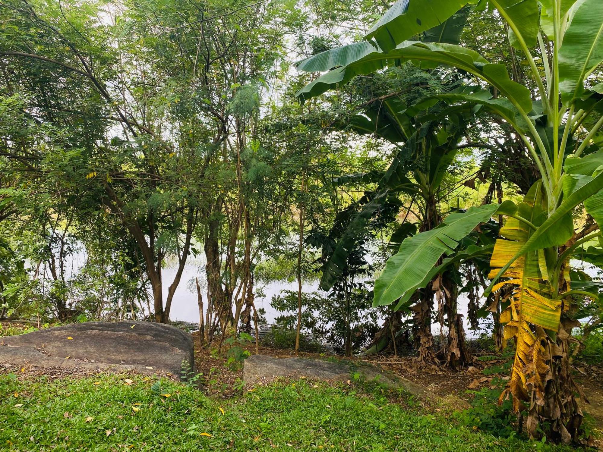 River Paradise Safari House With Cooking Class Udawalawe Kültér fotó
