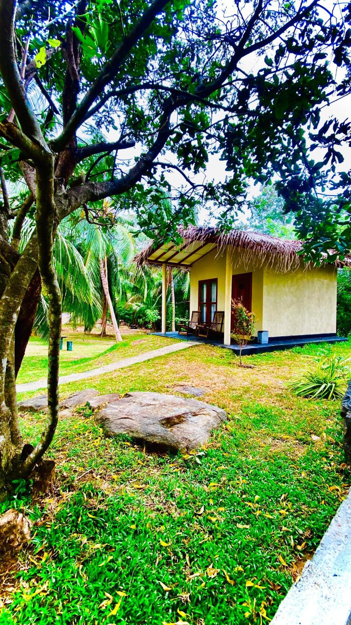 River Paradise Safari House With Cooking Class Udawalawe Kültér fotó